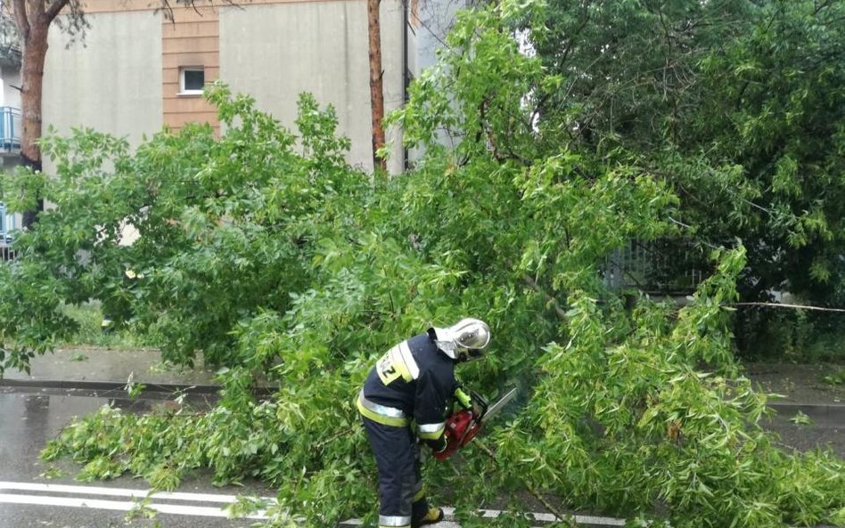 Ponad 250 razy interweniowali wczoraj strażacy po burzach na Mazowszu. A IMGW ostrzega dziś przed ko