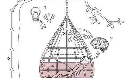 Powrót na łono. Proj. Anna Radziemska, Joanna Pasymowska, Wydział Architektury, Politechnika Gdańska