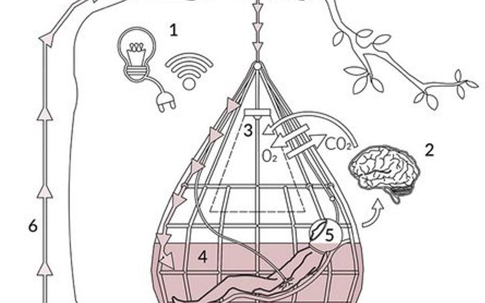 Powrót na łono. Proj. Anna Radziemska, Joanna Pasymowska, Wydział Architektury, Politechnika Gdańska