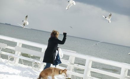 Samotne życie zwiększa ryzyko demencji