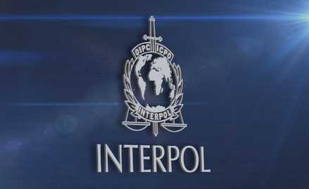 Maciej Zaborowski: Interpol z pierwszą srebrną notą