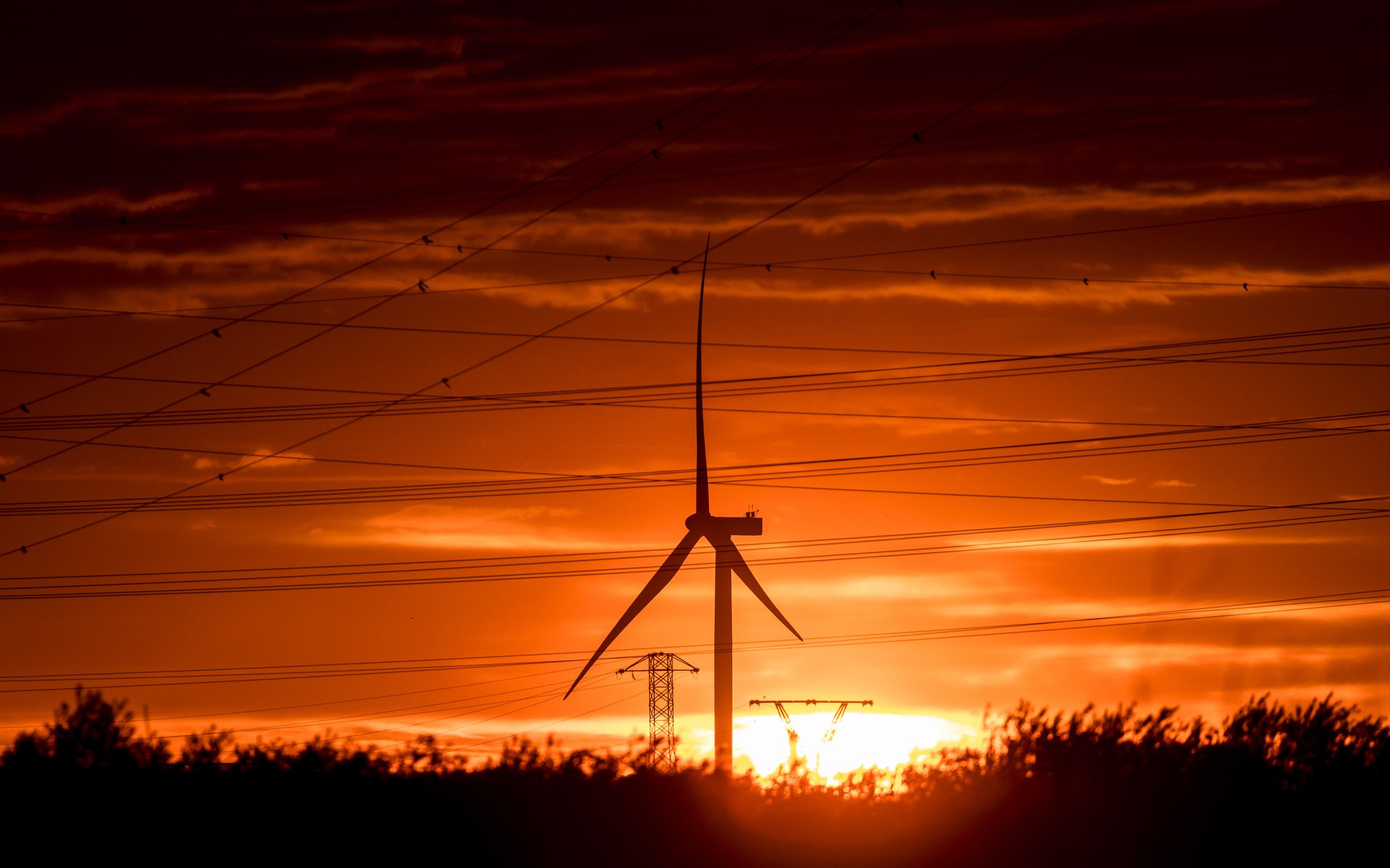 Piotr Arak: Między OZE a węglem