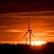 Prof. Tryjanowski: Energetyka została zamknięta w plemiennych bańkach