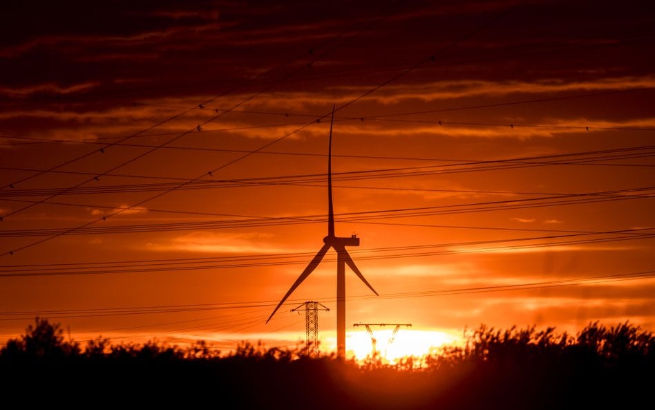 Prof. Tryjanowski: Energetyka została zamknięta w plemiennych bańkach