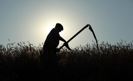 Dopłaty za bezumowne korzystanie z gruntów
