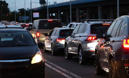 Polisy z batem na piratów