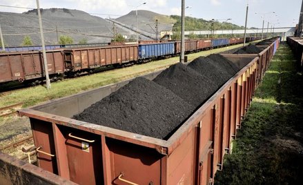 Wzrósł udział PKP Cargo w rynku towarowych przewozów kolejowych w Polsce m.in. dzięki zleceniom na t