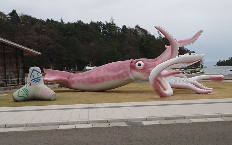 Japonia: Środki na odbudowę po pandemii poszły na wielką kałamarnicę