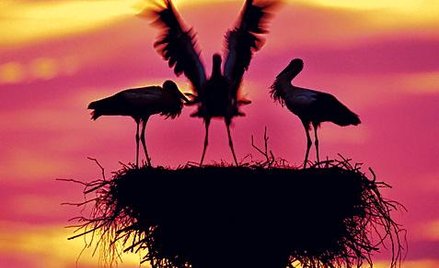 Zachwyt nad tajemnicami natury przekazany z motolotni