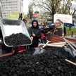 Antywęglowy happening WWF Polska