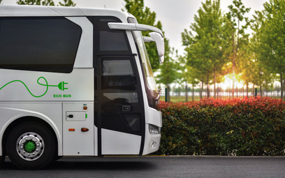 Transport coraz bardziej ekologiczny. Miasta kupują zielone autobusy