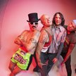 To będzie już piąty koncert RHCP w Polsce, drugi z Johnem Frusciante, jednym z najlepszych gitarzyst