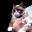 Grumpy Cat (Tardar Sauce)