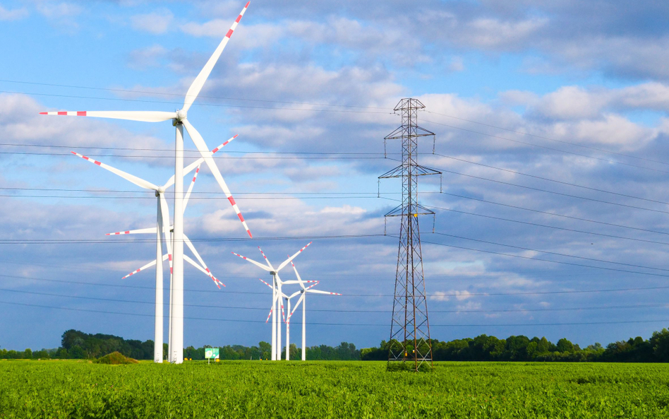 Produkcja z OZE, w tym realizowana przez lądowe farmy wiatrowe, zapewnia grupie Energa istotne przyc