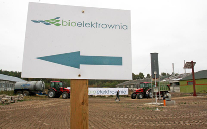 Polska nie wykorzystuje możliwości produkcji biogazu
