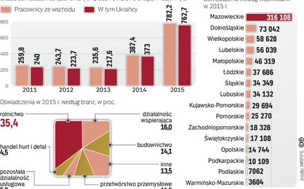 Najwięcej Ukraińców pracuje na Mazowszu