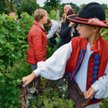 Winobranie w winnicy samorządowej to wielka atrakcja dla mieszkańców i turystów.