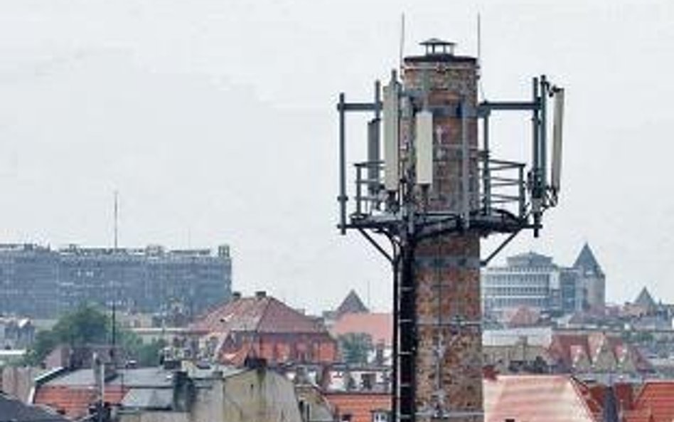 Poznań, minaret i samobójcze misiaczki