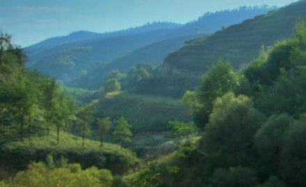 W jaki sposób Holendrzy chcą zazielenić egipską pustynię?