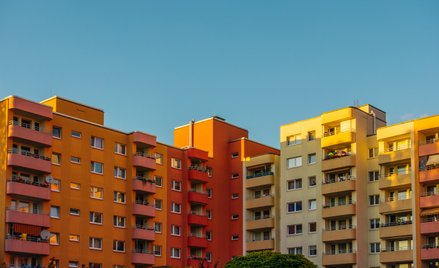 Studenci ruszyli po mieszkania