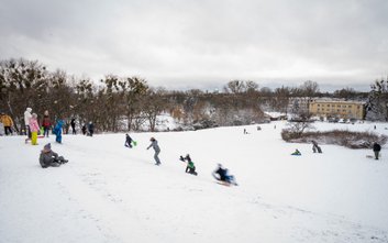 Władze dzielnicy przypominają o odpowiedzialności rodziców podczas zimowych zabaw w miejskich parkac