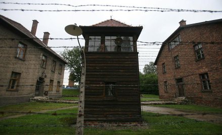 Zdjęcia z Auschwitz w reklamie firmy konsultingowej