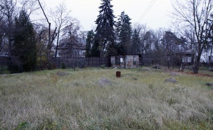 Można się ochronić przed chciwym sąsiadem