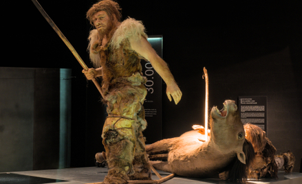 Łowca neandertalski w belgijskim Gallo-Romeins Museum Tongeren
