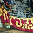 Kibice Korony Kielce