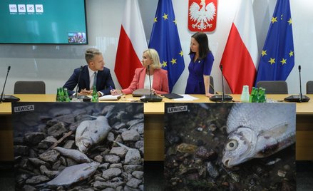 Posiedzenie komisji sejmowej nt. sytuacji na Odrze