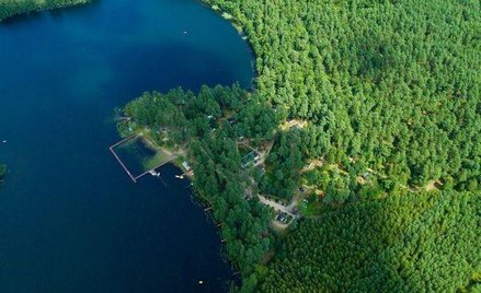 Ośrodek Grzybia Dąbrowa