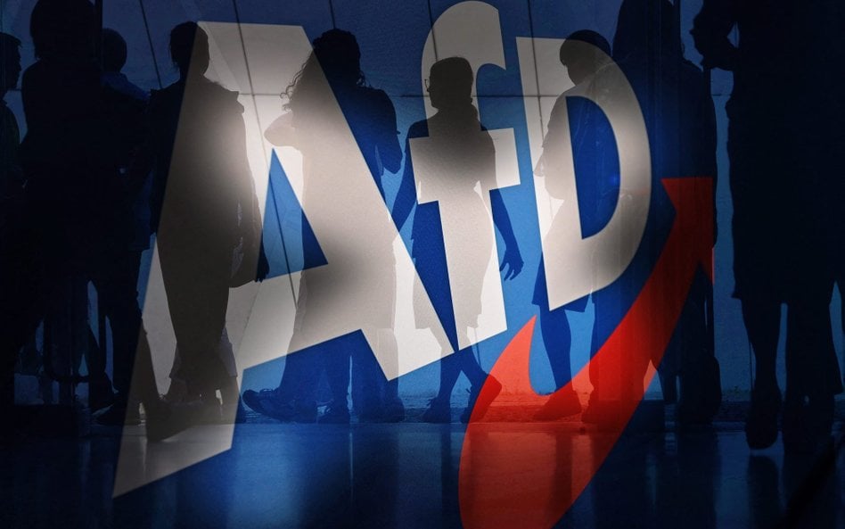Czy jest jakaś przestrzeń do polskiej gry z „nowymi Niemcami”, tymi spod znaku AfD?