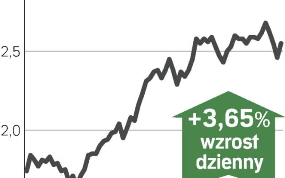 Bank woli radzić sobie sam