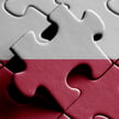 Tomasz Pietryga: Puzzle zamiast sprawnej machiny