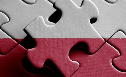 Tomasz Pietryga: Puzzle zamiast sprawnej machiny