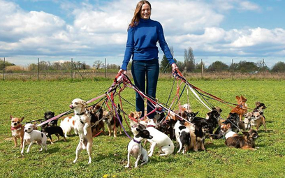 Zniesienie daniny za posiadanie psów ucieszyło tysiące właścicieli czworonogów