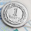 Dokąd zmierza złoty w obliczu spadków cen ropy?