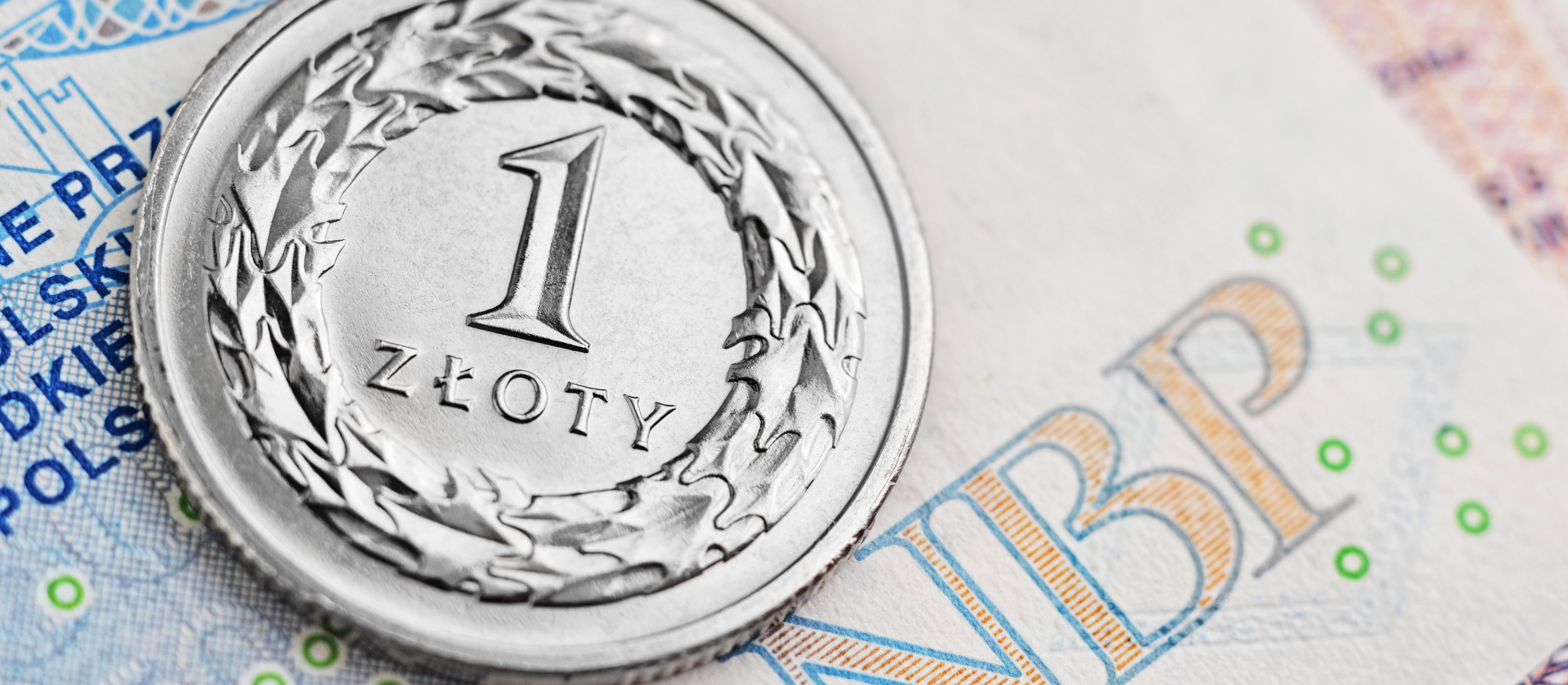 Dokąd zmierza złoty w obliczu spadków cen ropy?