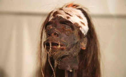 Wysuszona głowa spreparowana przez peruwiańskich Indian. Fot. eschipul