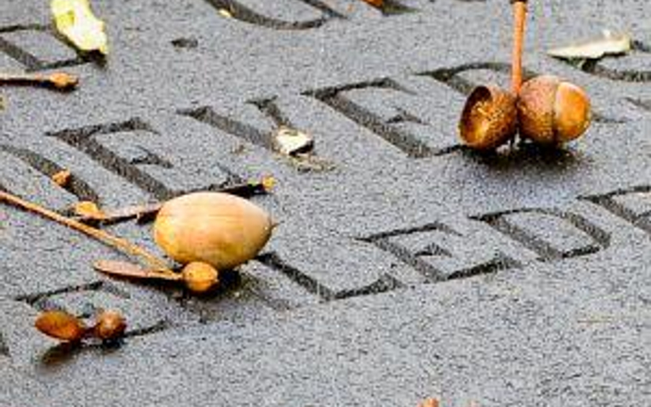 Przyczyny naturalne czasem zakończą umowę