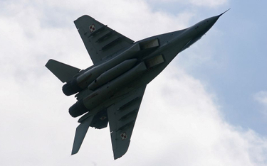 Po wypadku wojskowe MiG-29 wrócą do latania