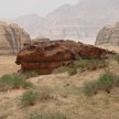Śladami Lawrence’a z Arabii