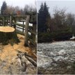 Drzew w ZOO w Warszawie trzeba było się pozbyć