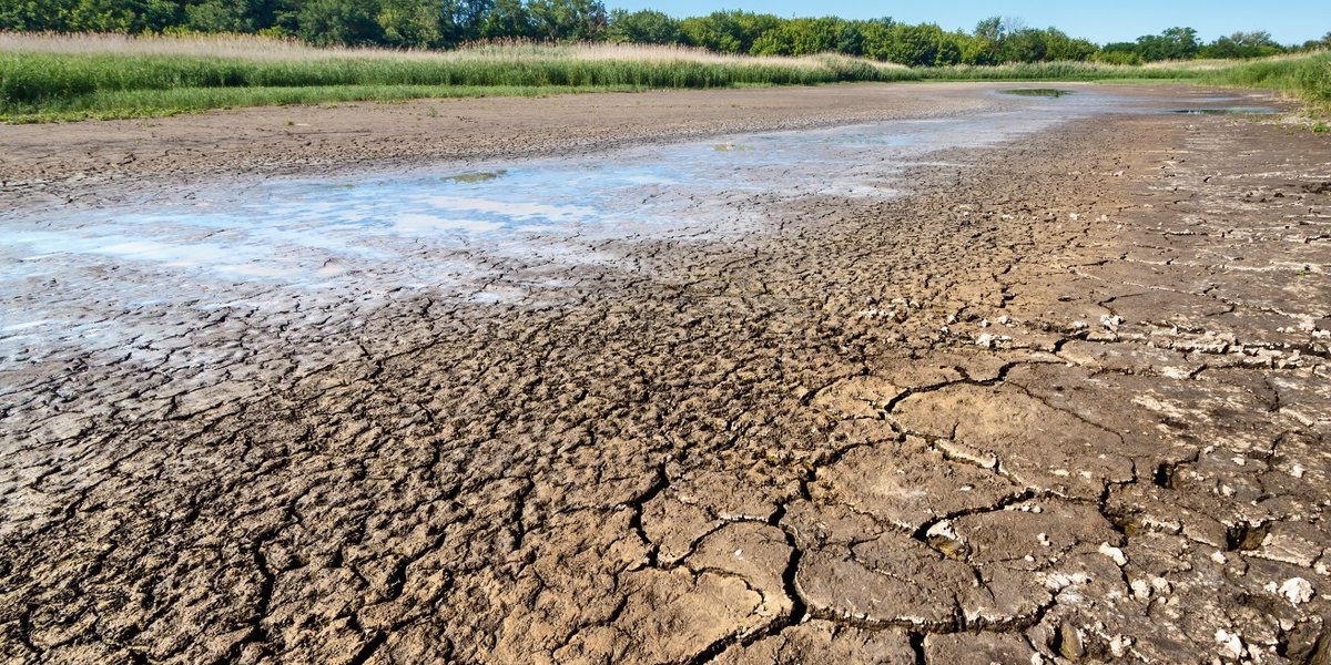 Zmiany klimatu kosztują Europę 50 mld euro rocznie