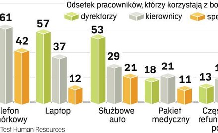 Polacy docenili zalety pozapłacowych benefitów