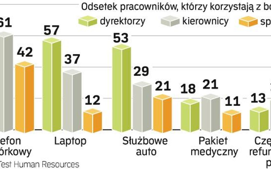 Polacy docenili zalety pozapłacowych benefitów