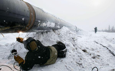 Ropa z bagien popłynie na tereny polarne Rosji