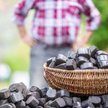 Miliony ton węgla od spółek. Dystrybuować mają samorządy