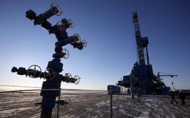 Rosja obiecuje złote góry gazowe