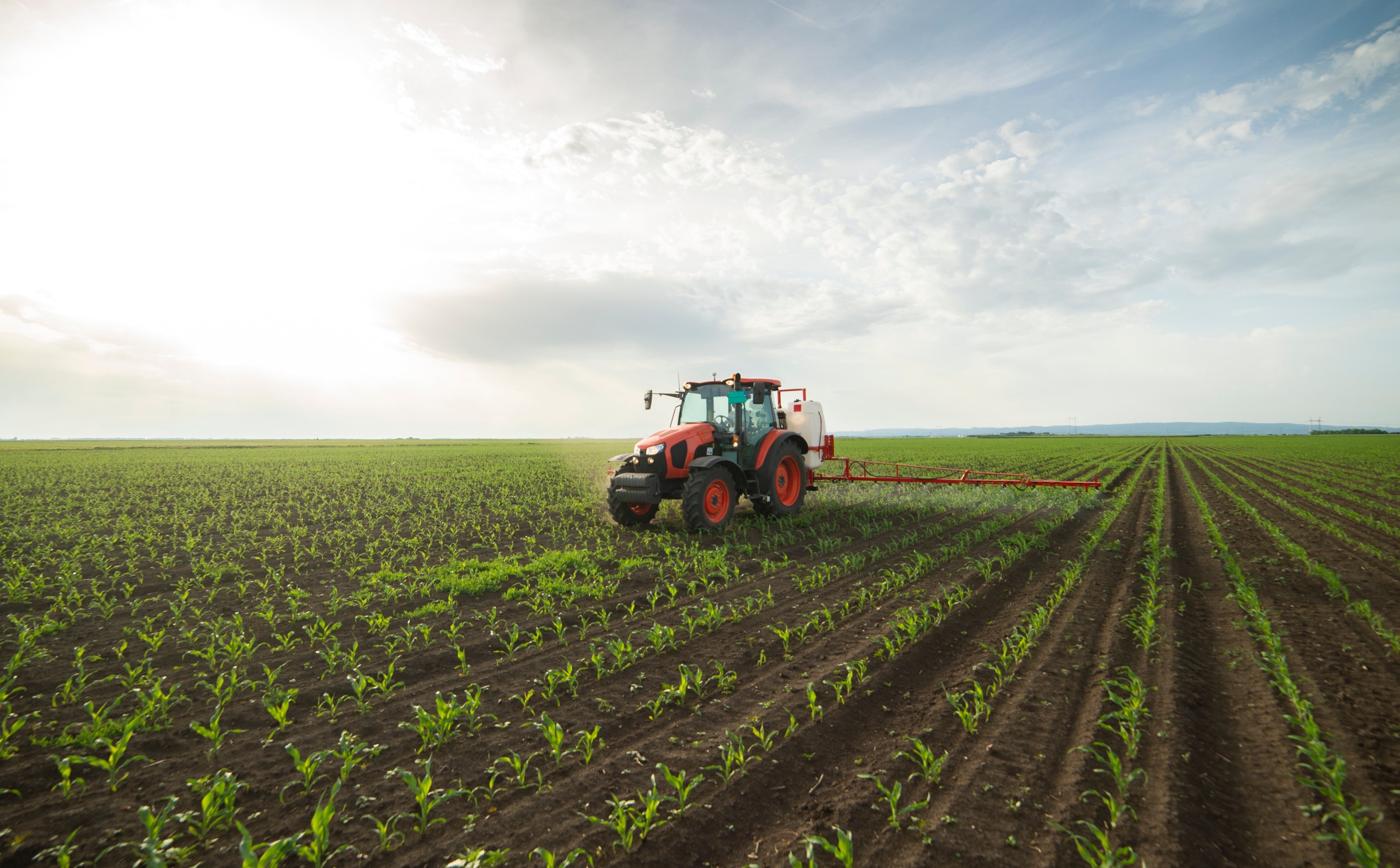 Rezygnacja z Ośrodków Produkcji Rolniczej zaszkodzi przyszłości sektora rolnego oraz bezpieczeństwu żywnościowemu Polski